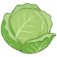 キャベツ